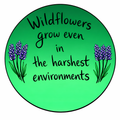 Wildflower sticker
